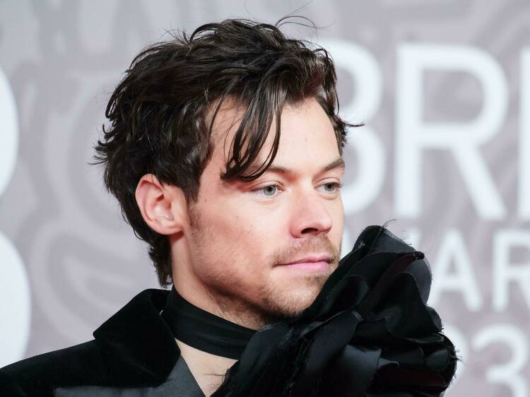 A Harry Styles waxwork is coming to Madame Tussauds A Harry Styles waxwork is coming to Madame Tussauds