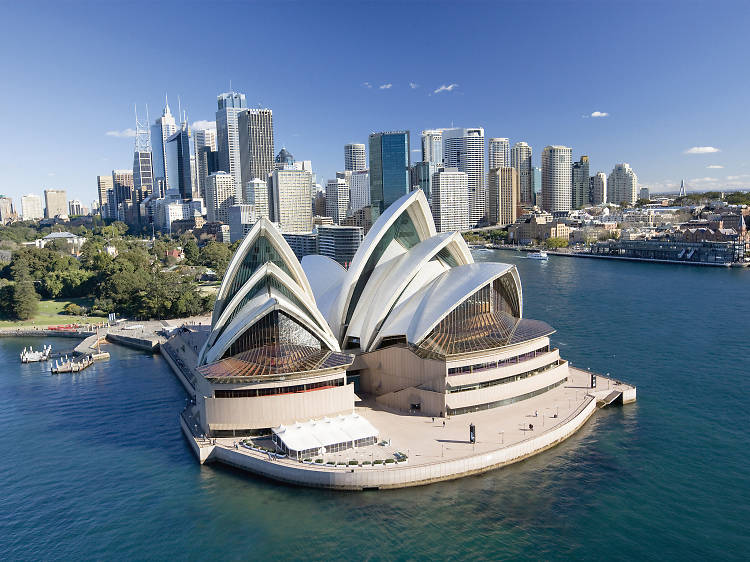 The CBD The CBD