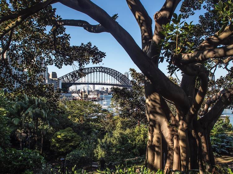 10 ways to live a more eco-friendly life in Sydney 10 ways to live a more eco-friendly life in Sydney