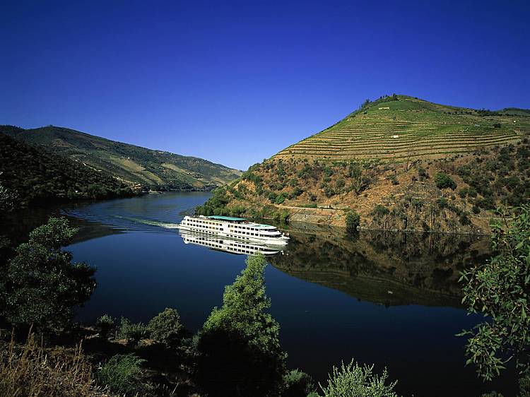 Douro Valley Small-Group Tour with Wine Tasting and lunch Douro Valley Small-Group Tour with Wine Tasting and lunch