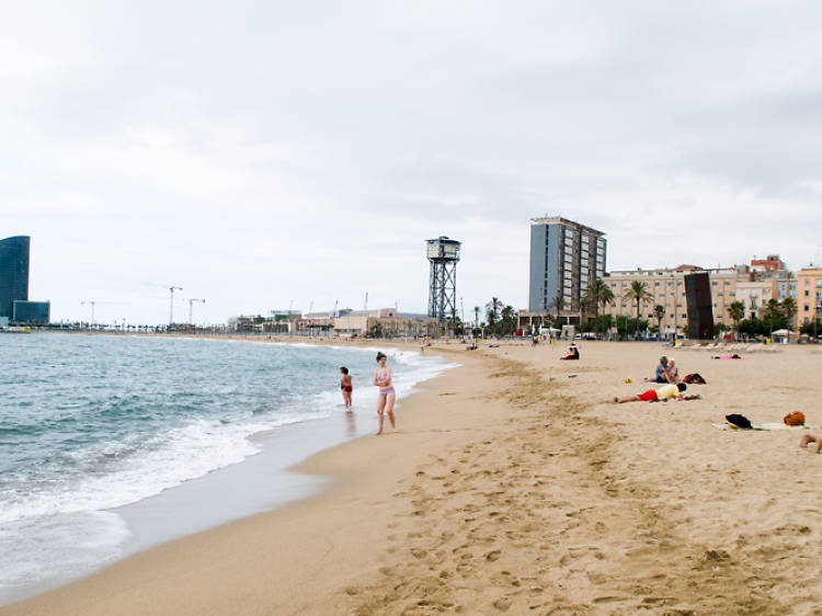 Barceloneta and the Ports Barceloneta and the Ports