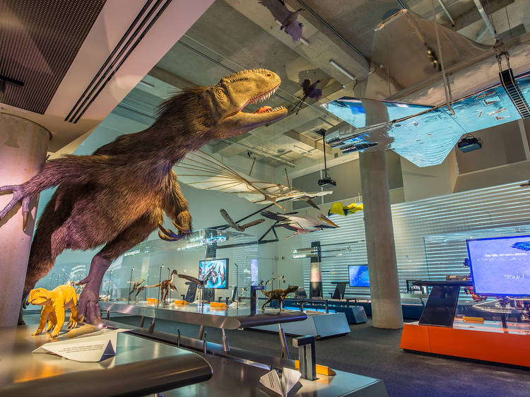 The best museums in Miami The best museums in Miami