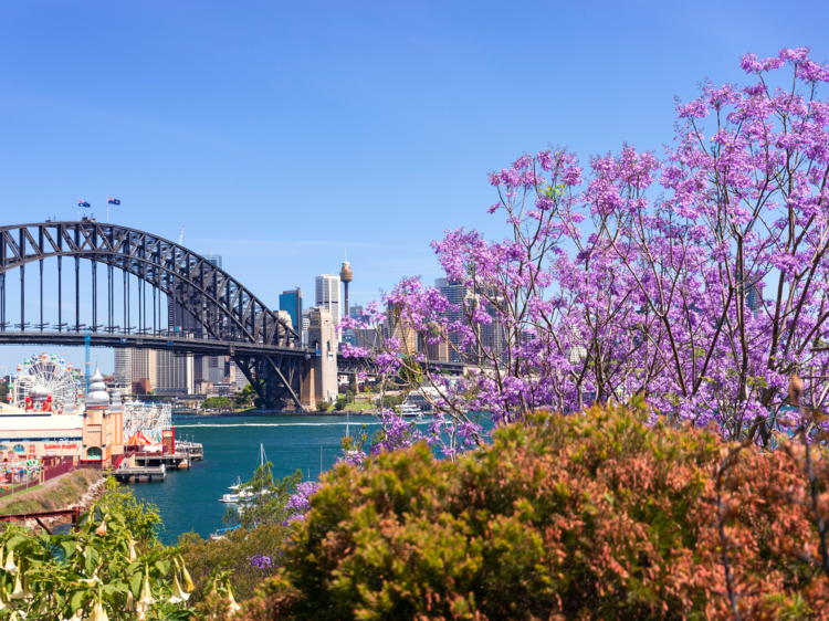 Sydney ranked the fourth most liveable city in the world Sydney ranked the fourth most liveable city in the world